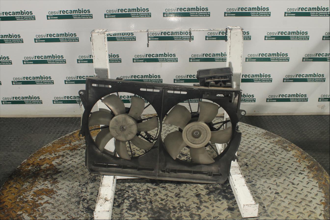Conjunto electros y soporte