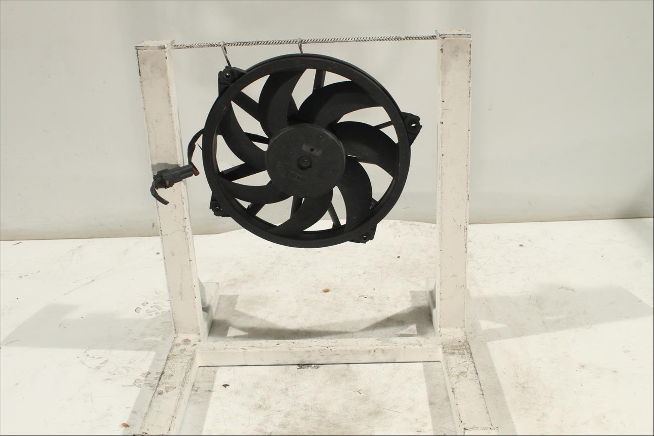 Conjunto electros y soporte
