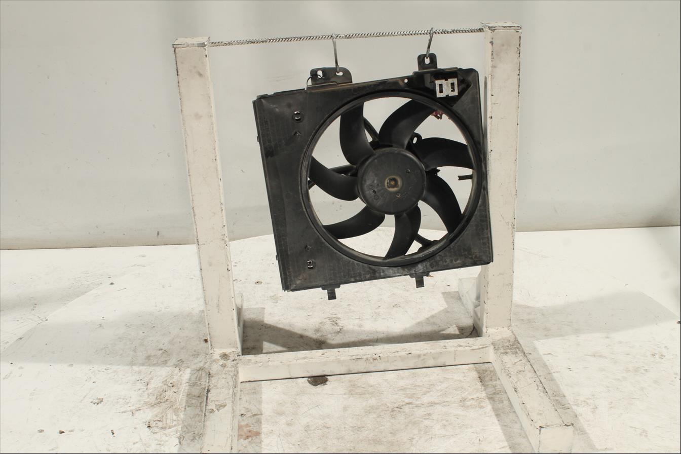 Conjunto electros y soporte