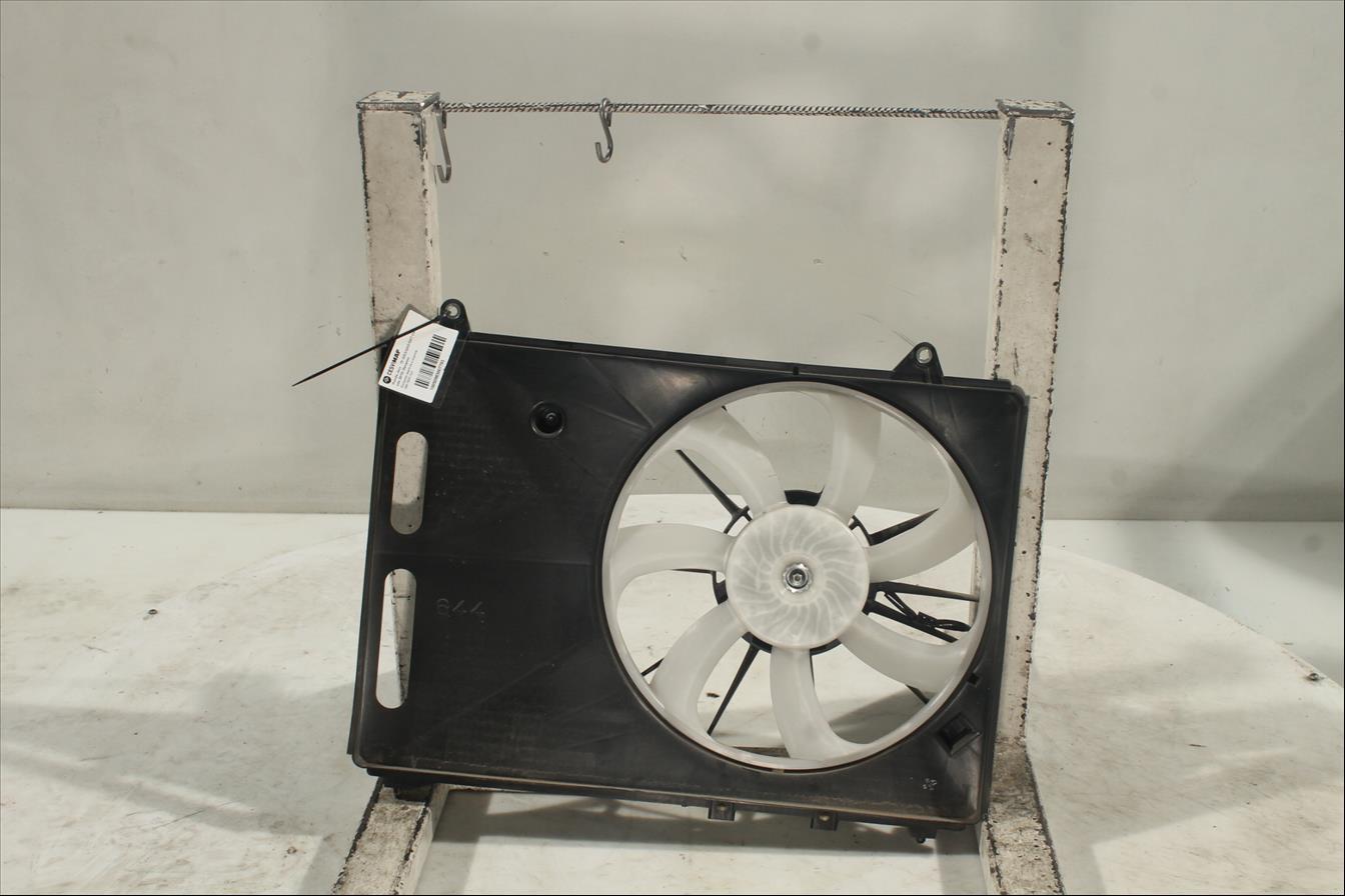 Conjunto electros y soporte