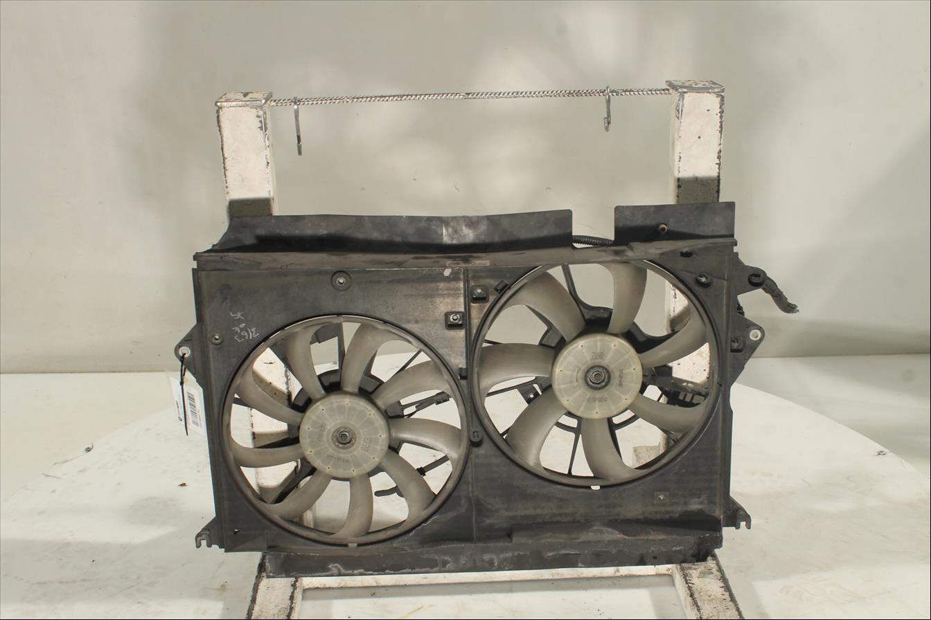 Conjunto electros y soporte