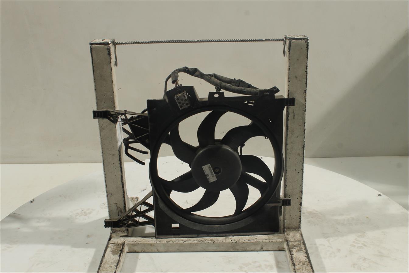 Conjunto electros y soporte