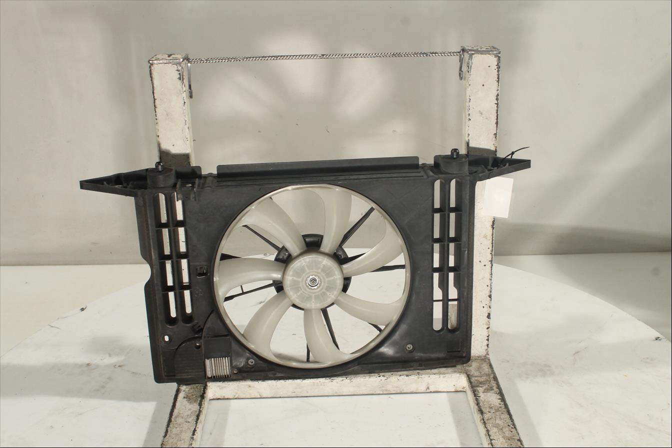 Conjunto electros y soporte