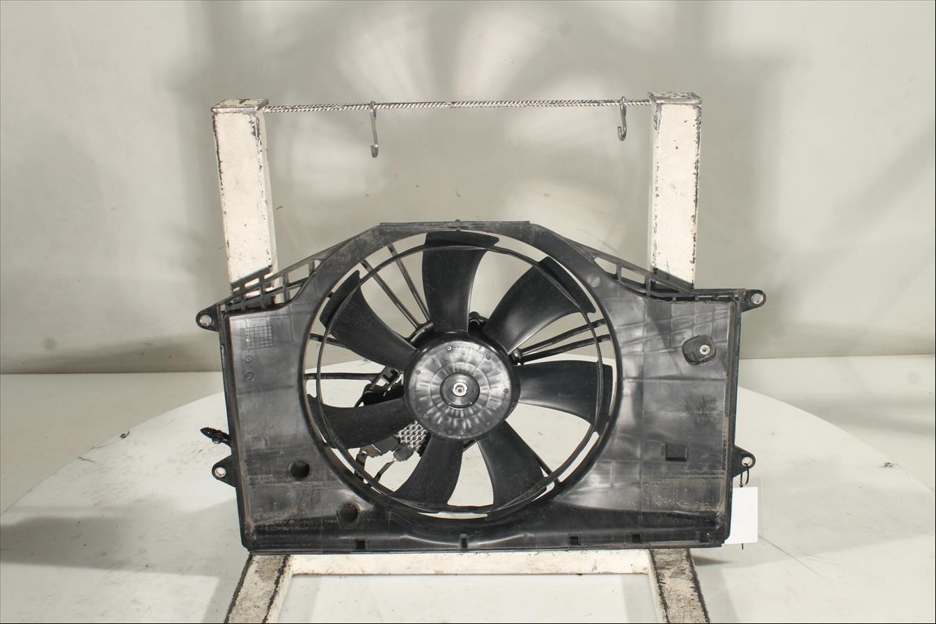 Conjunto electros y soporte