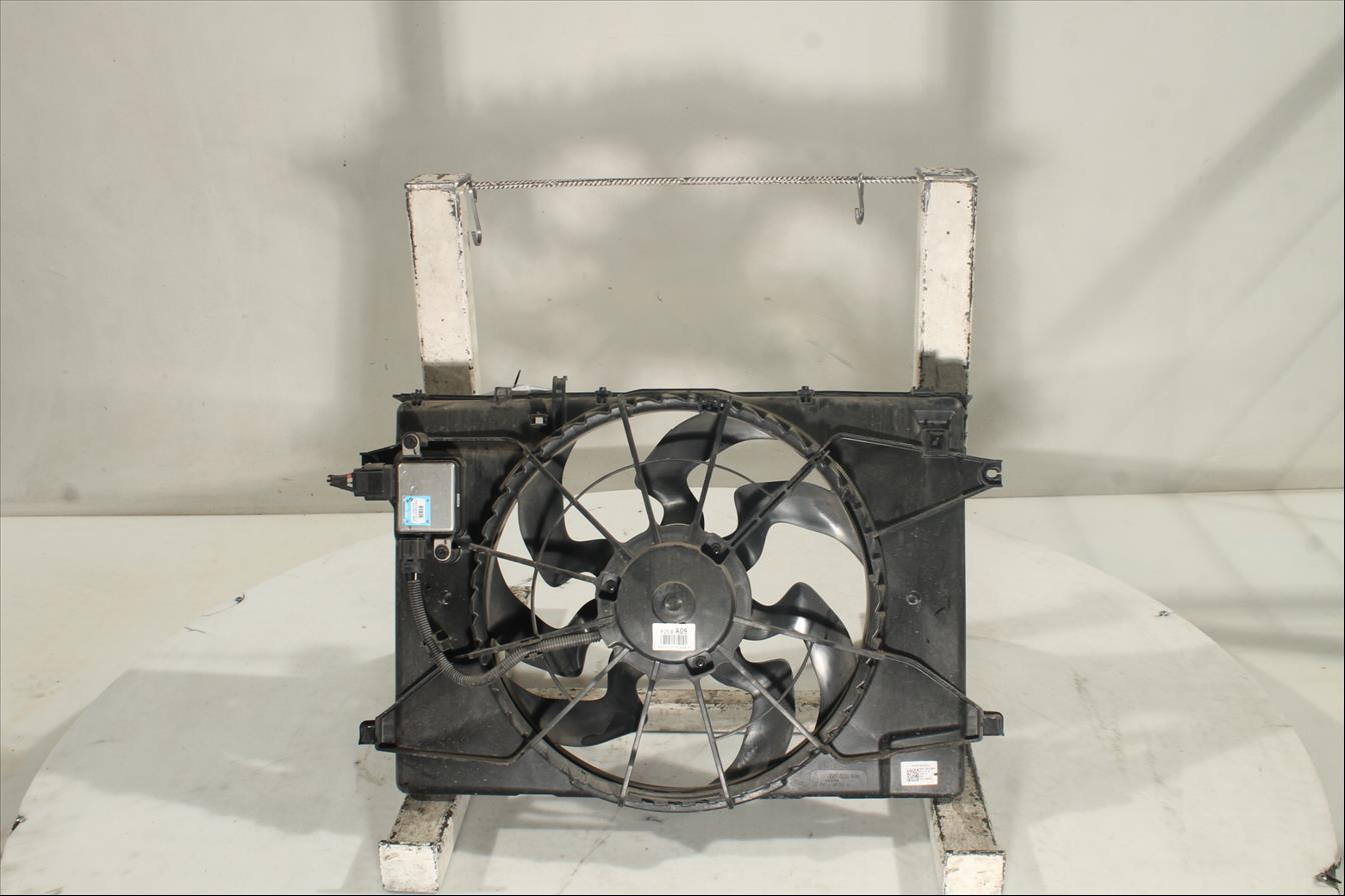 Conjunto electros y soporte