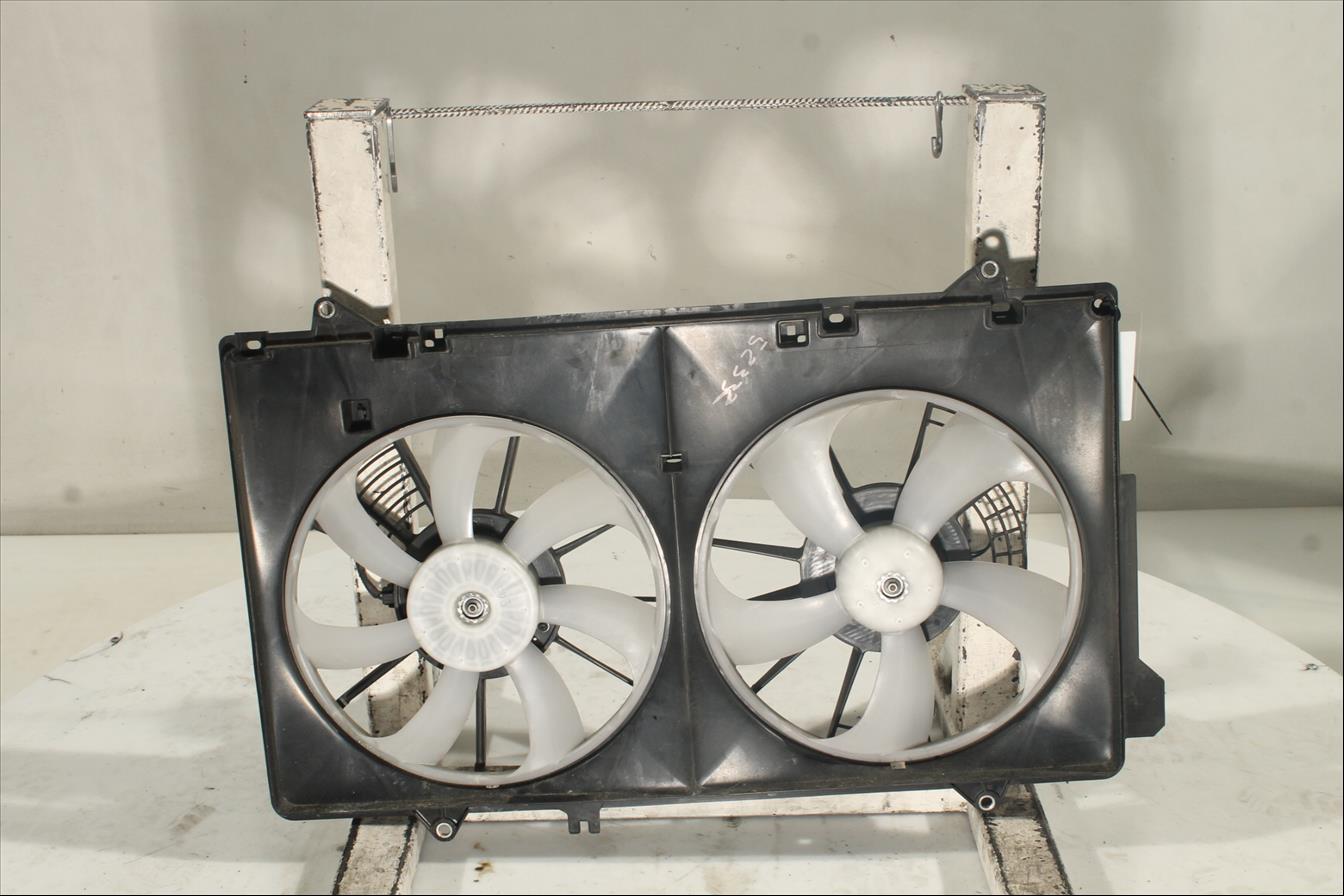 Conjunto electros y soporte