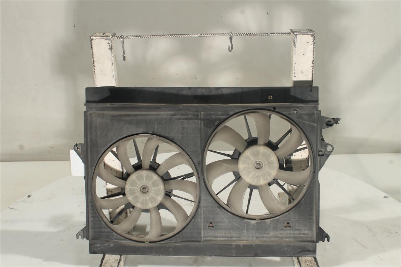 Conjunto electros y soporte