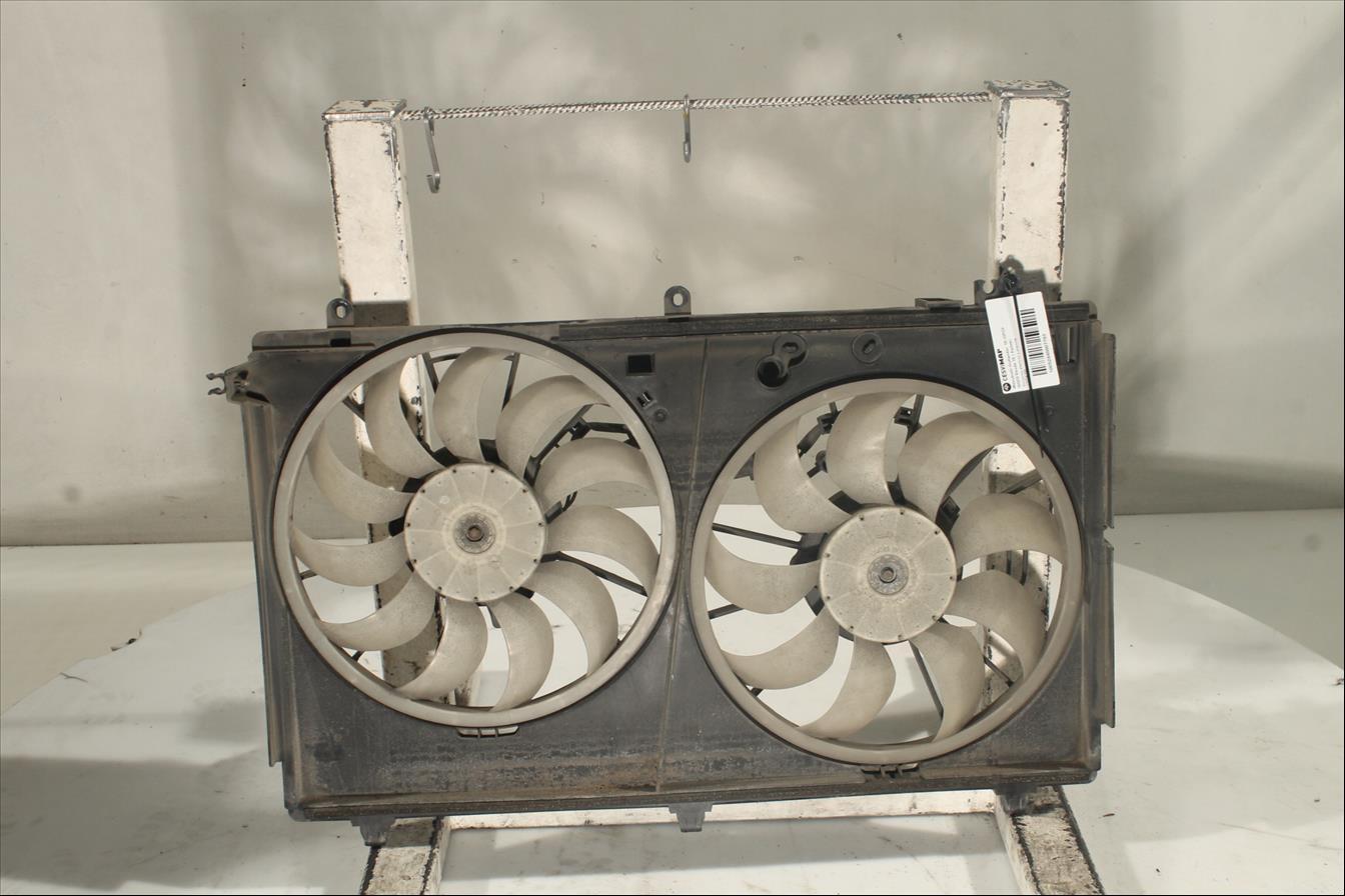 Conjunto electros y soporte