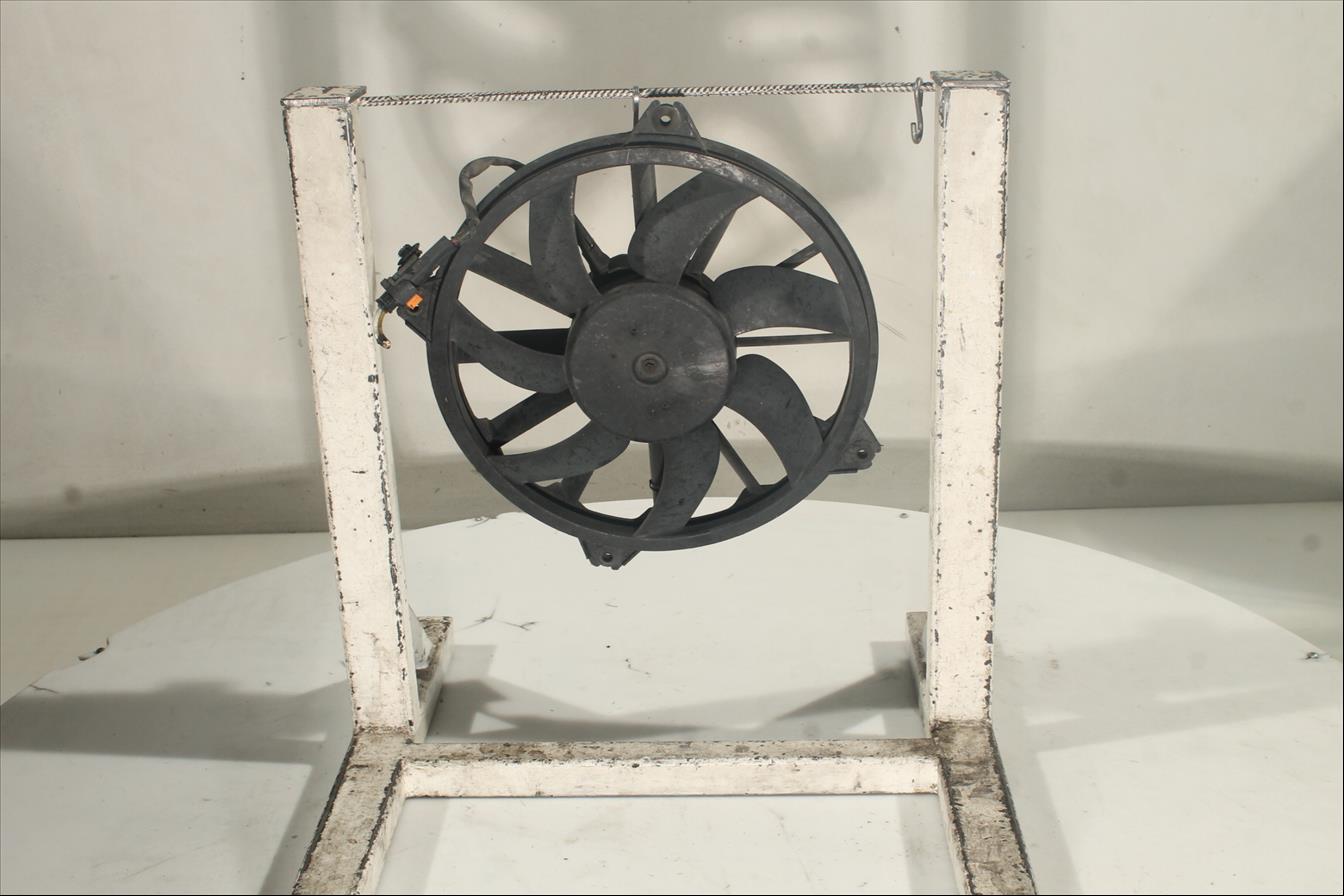 Conjunto electros y soporte