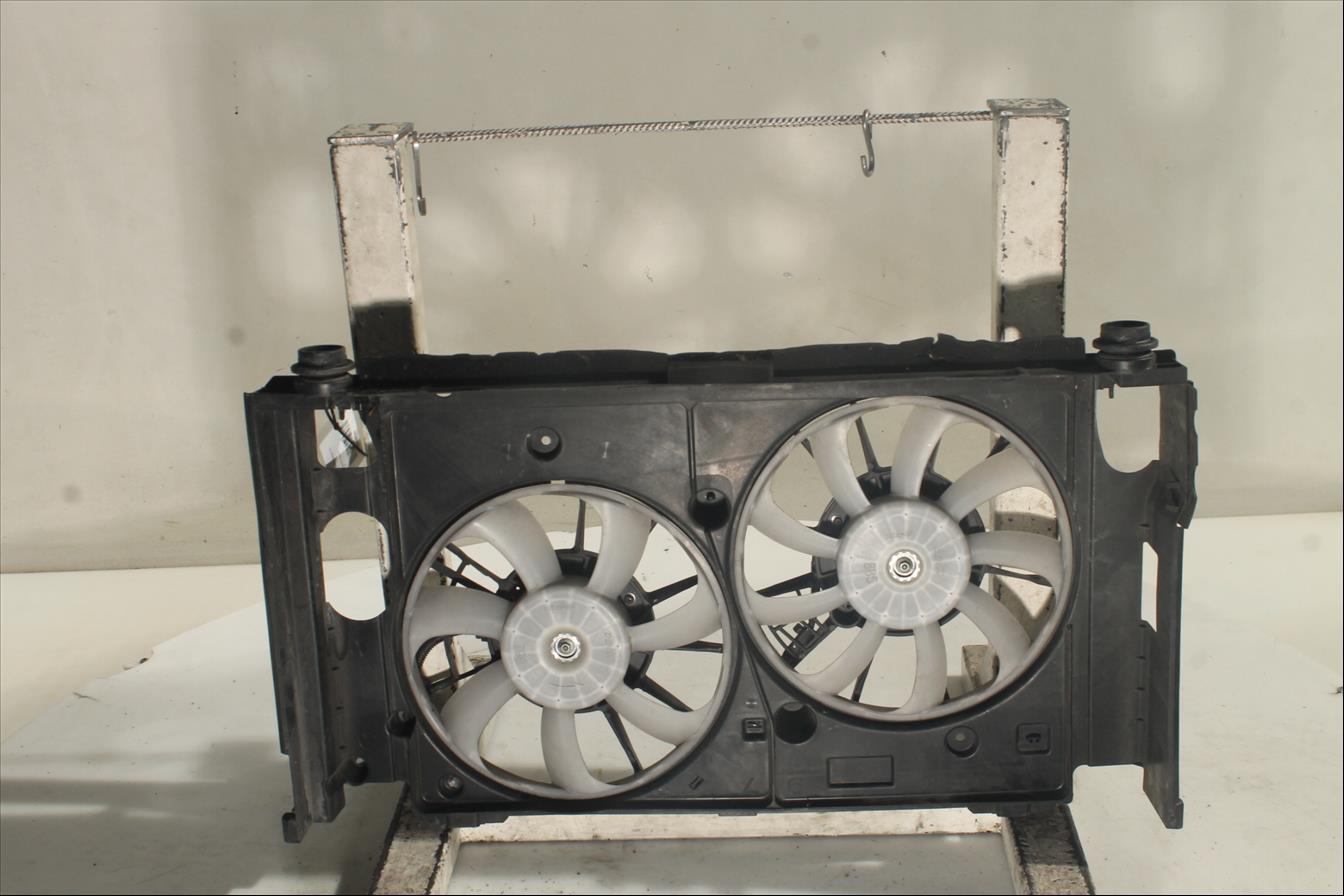 Conjunto electros y soporte