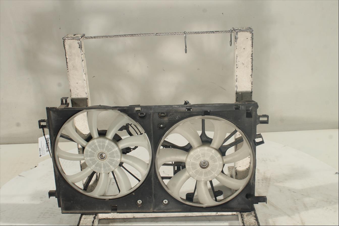 Conjunto electros y soporte