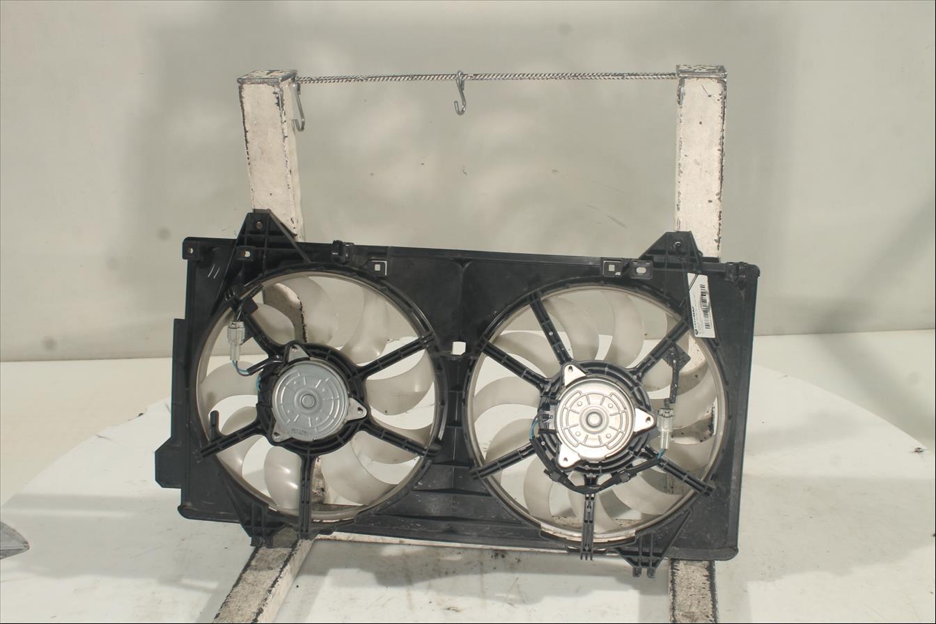 Conjunto electros y soporte