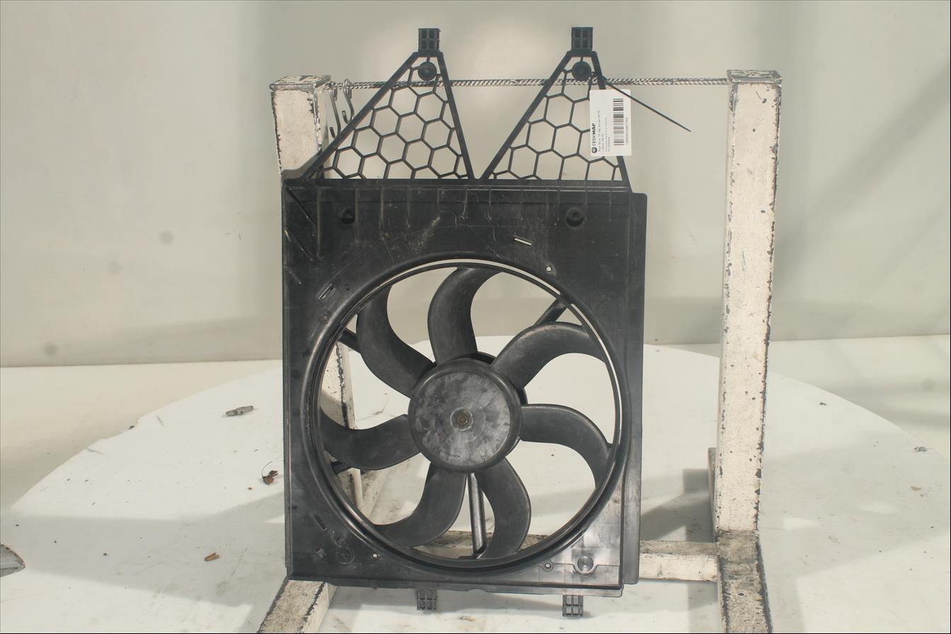 Conjunto electros y soporte