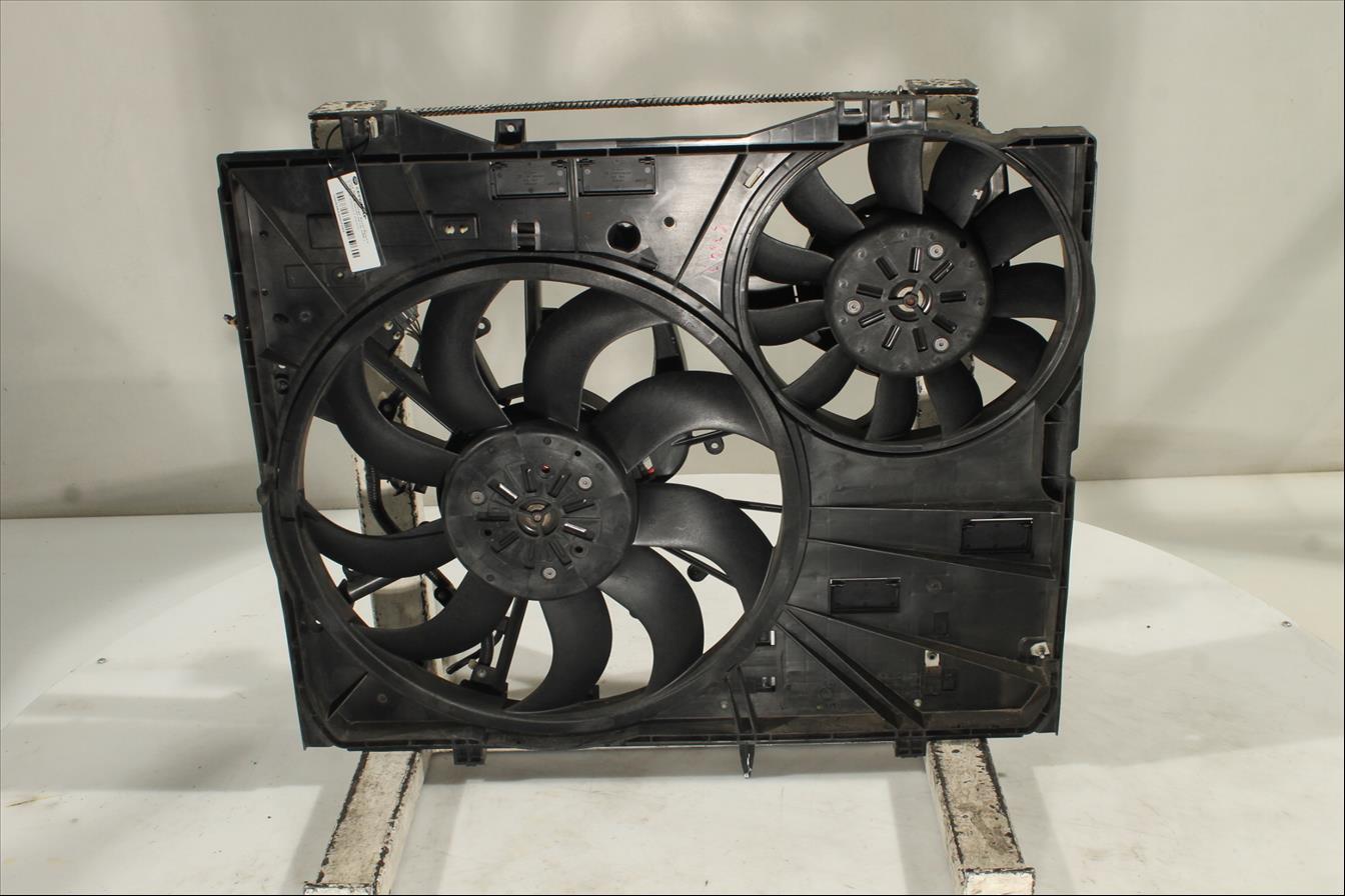 Conjunto electros y soporte