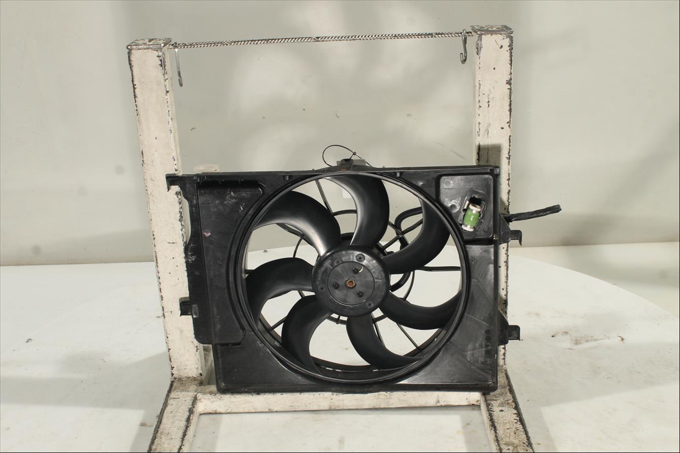 Conjunto electros y soporte