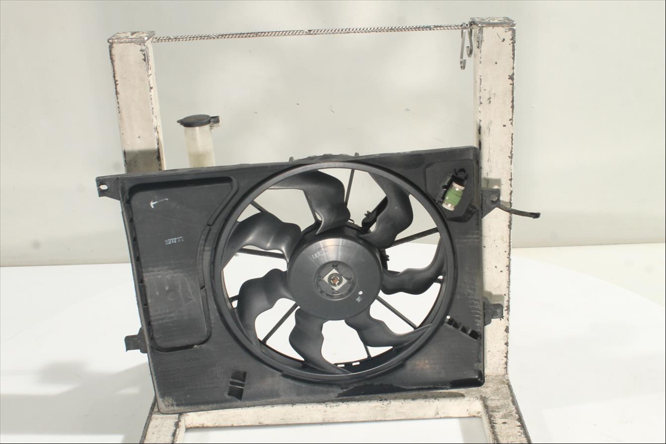 Conjunto electros y soporte