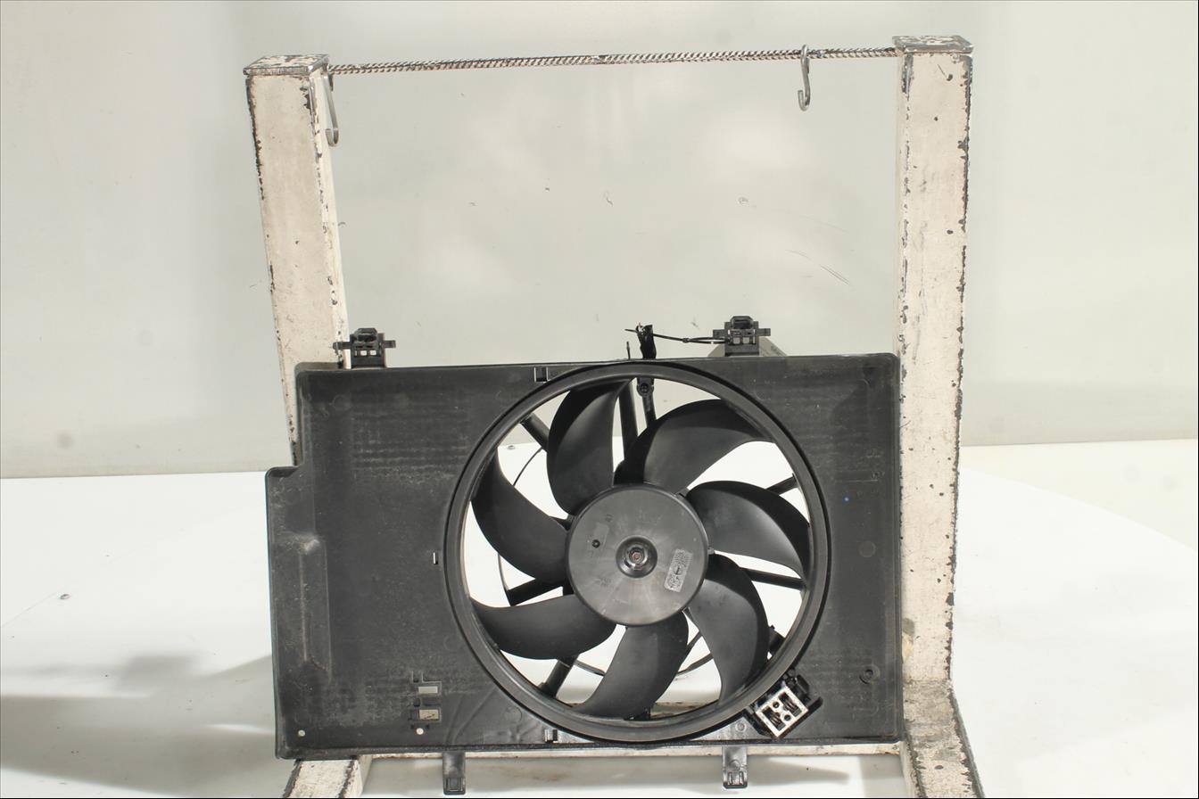 Conjunto electros y soporte