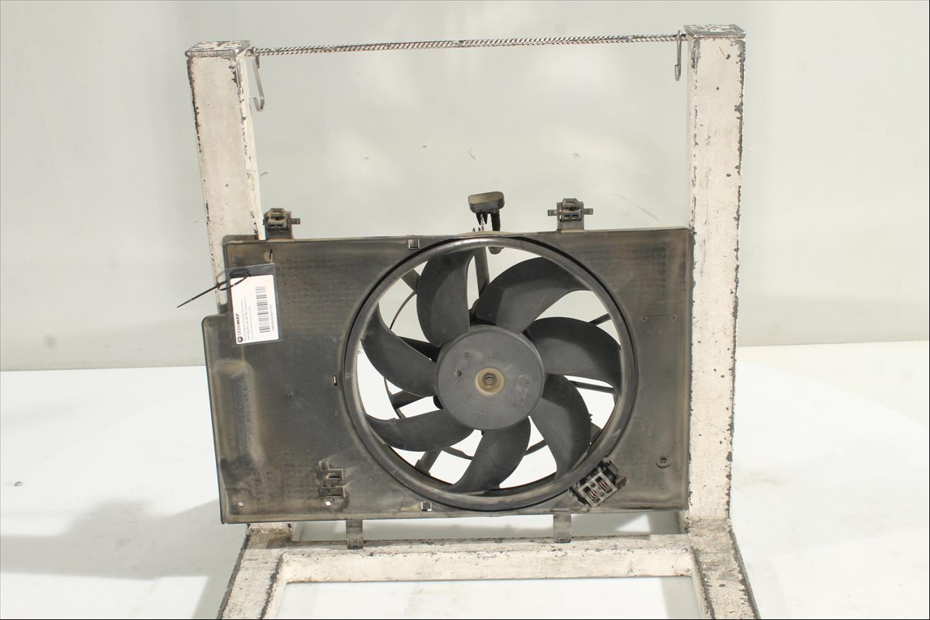 Conjunto electros y soporte