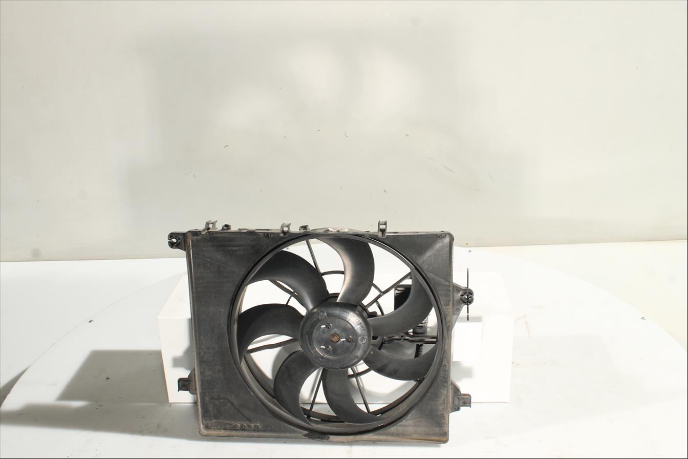 Conjunto electros y soporte