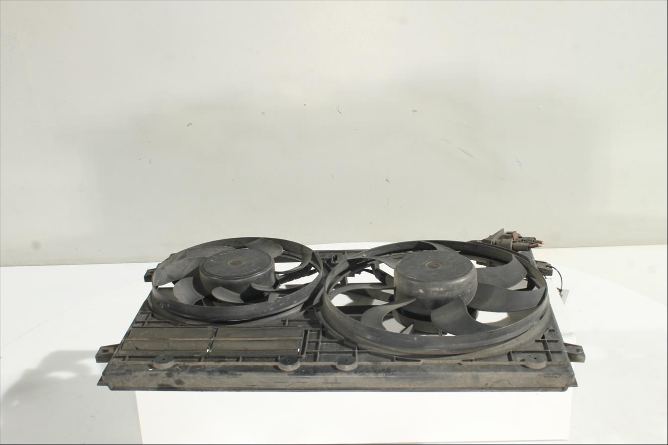 Conjunto electros y soporte