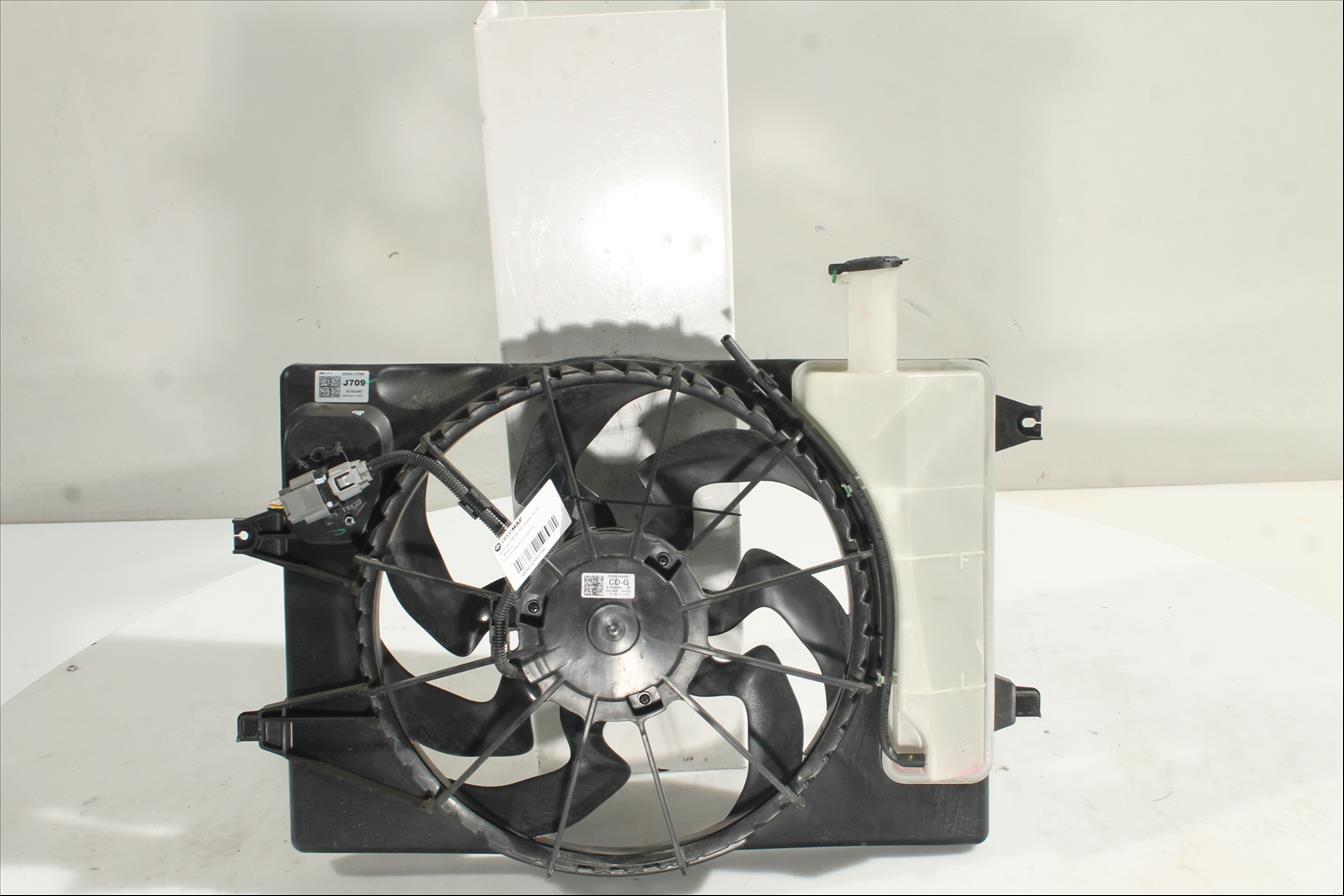 Conjunto electros y soporte