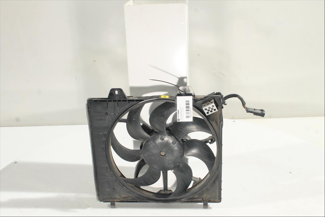Conjunto electros y soporte