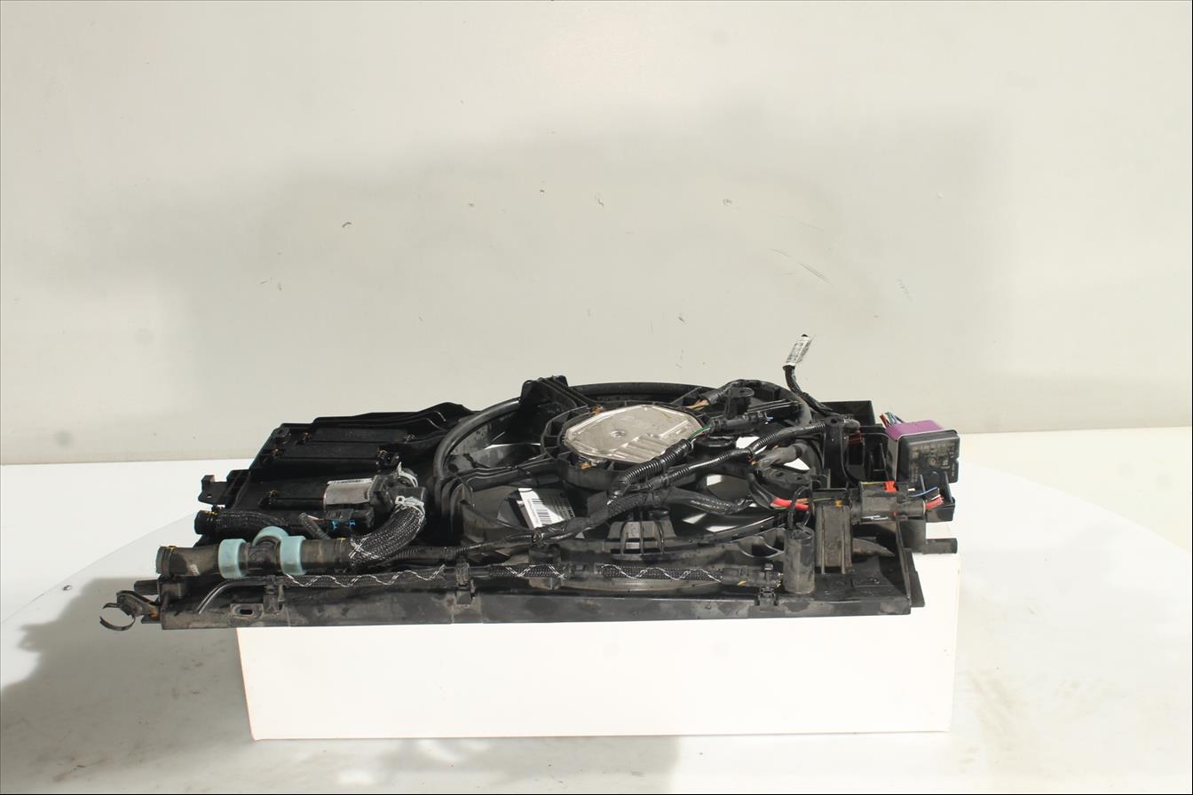 Conjunto electros y soporte