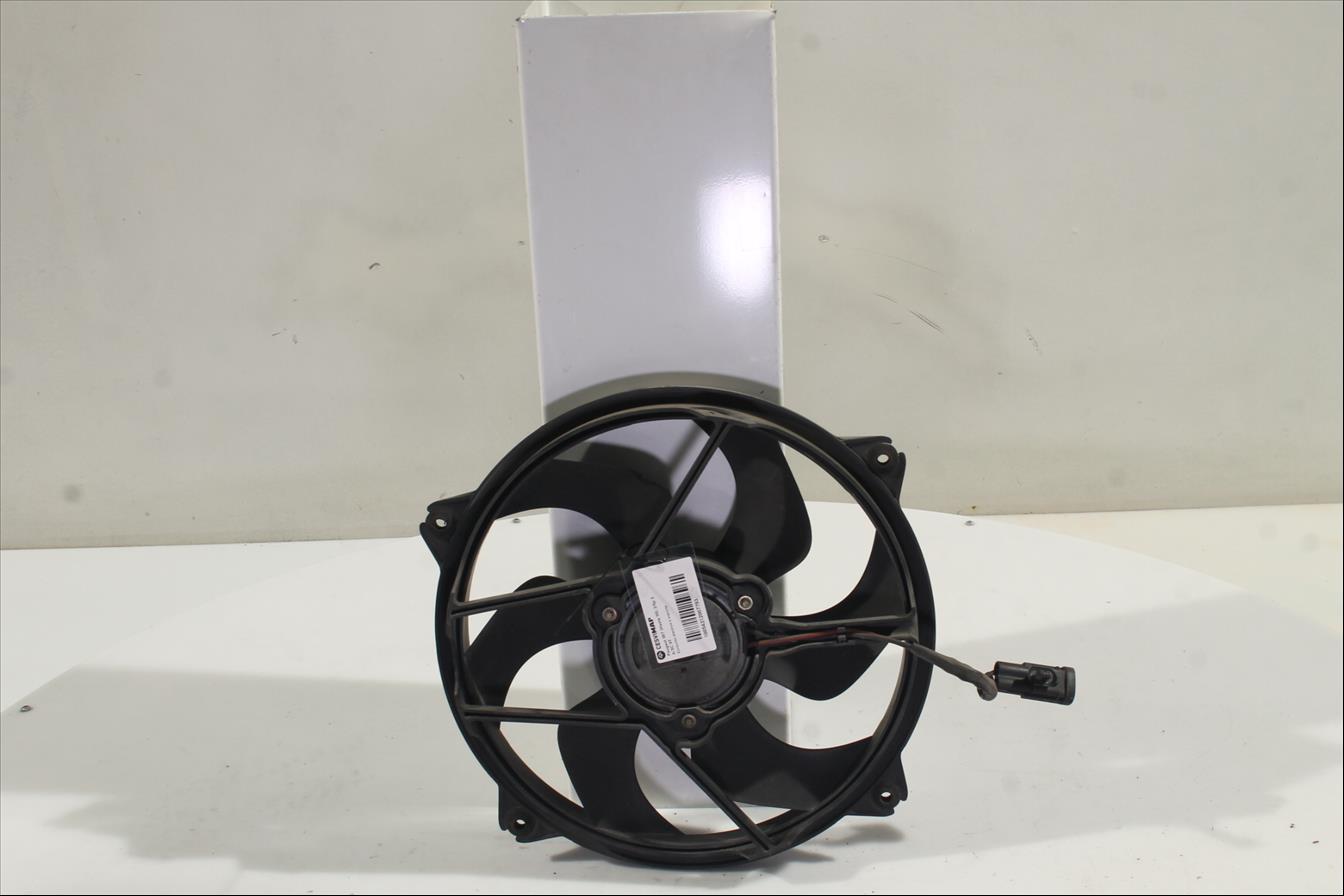 Conjunto electros y soporte