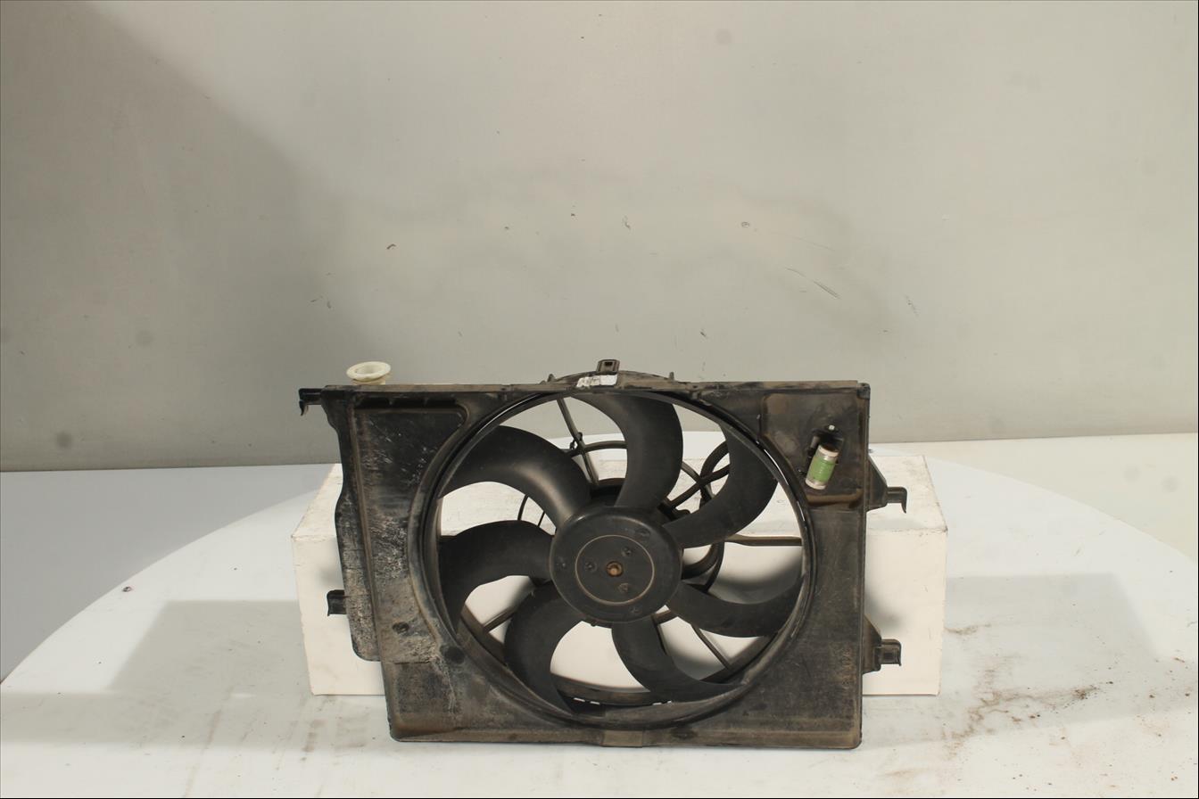 Conjunto electros y soporte