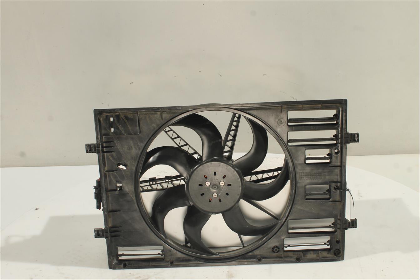 Conjunto electros y soporte