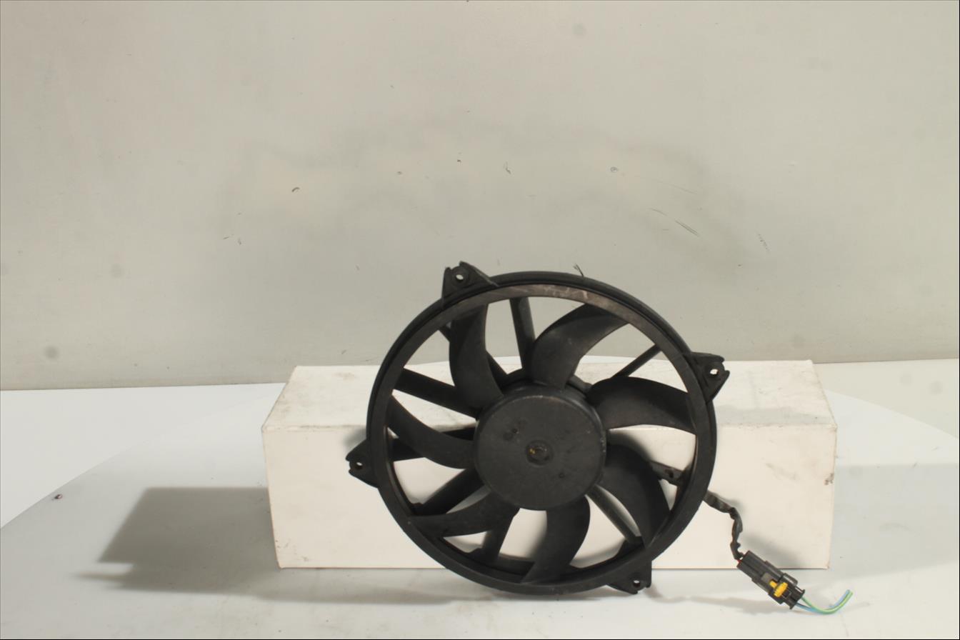 Conjunto electros y soporte