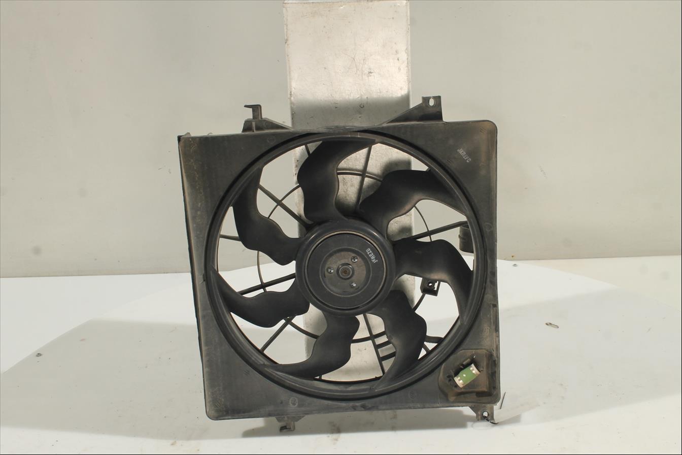Conjunto electros y soporte