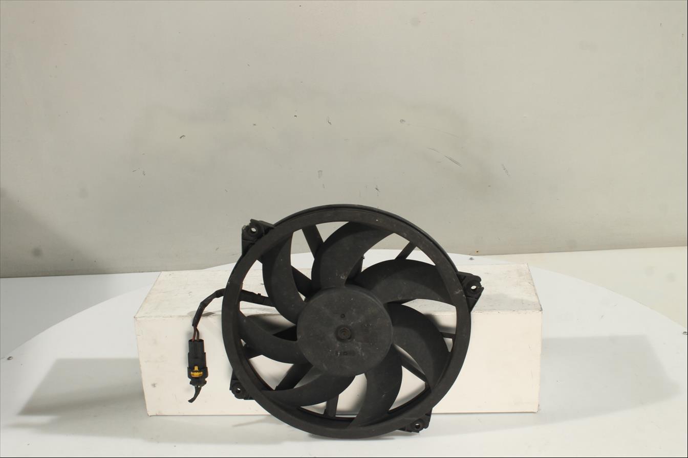 Conjunto electros y soporte