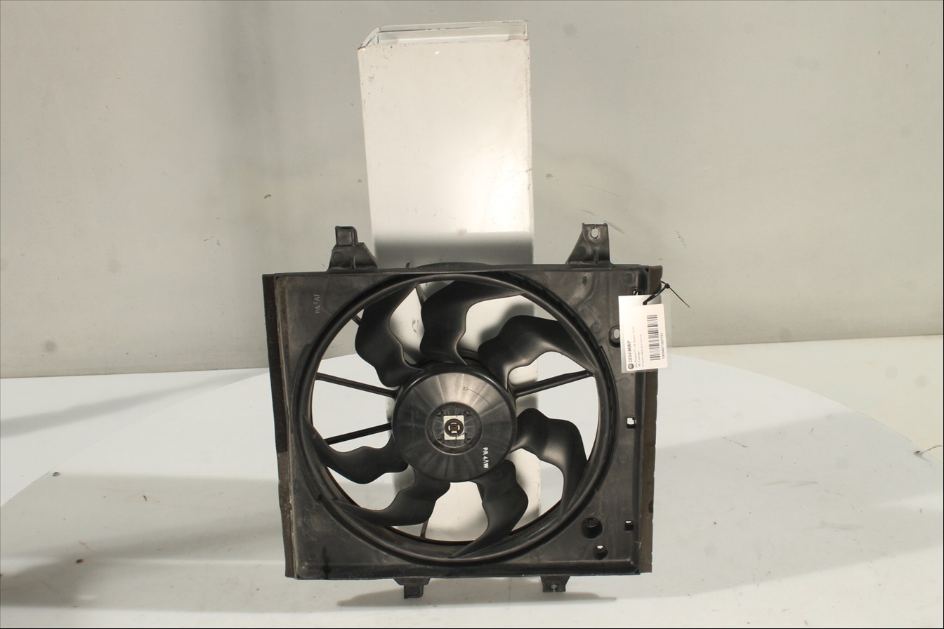 Conjunto electros y soporte