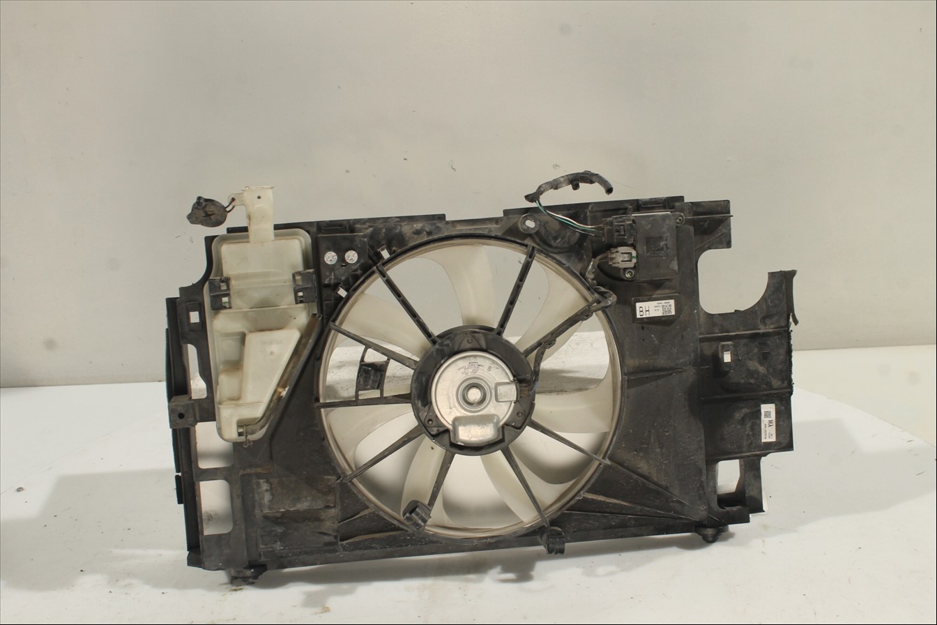 Conjunto electros y soporte