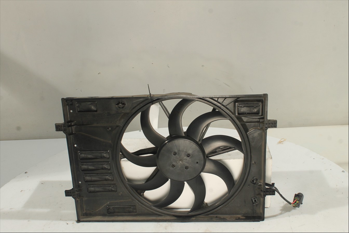 Conjunto electros y soporte