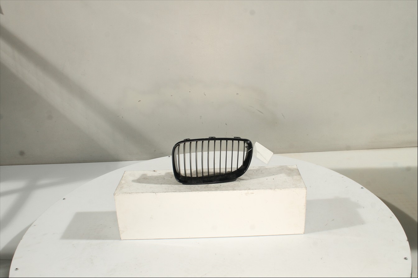 Rejilla paragolpes Izq.