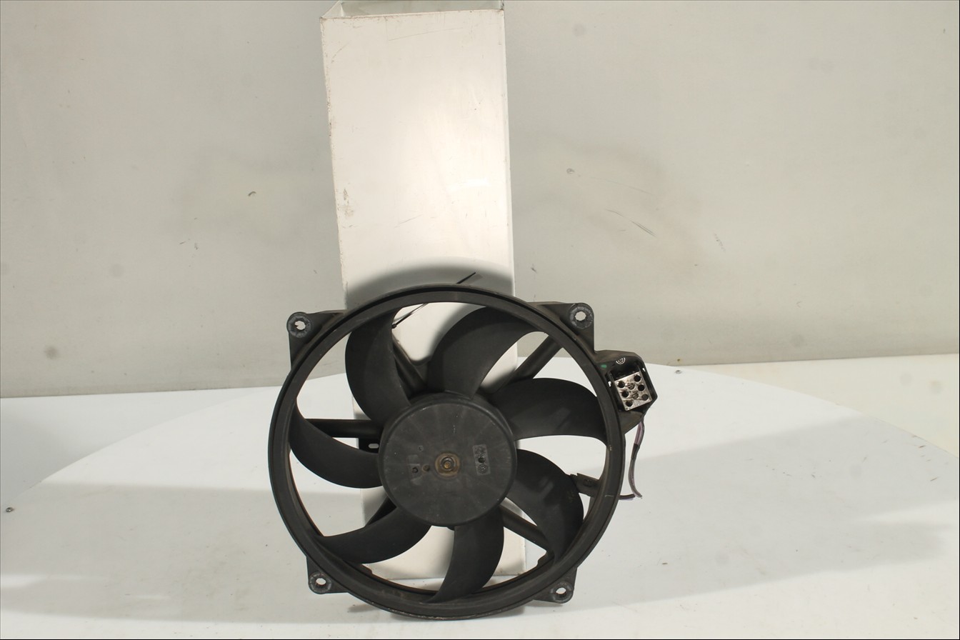 Conjunto electros y soporte