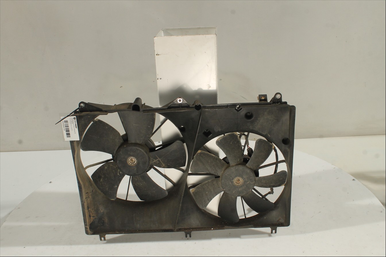 Conjunto electros y soporte