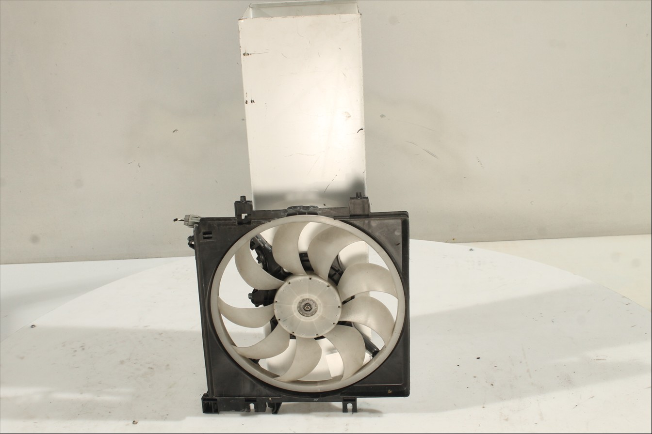 Conjunto electros y soporte