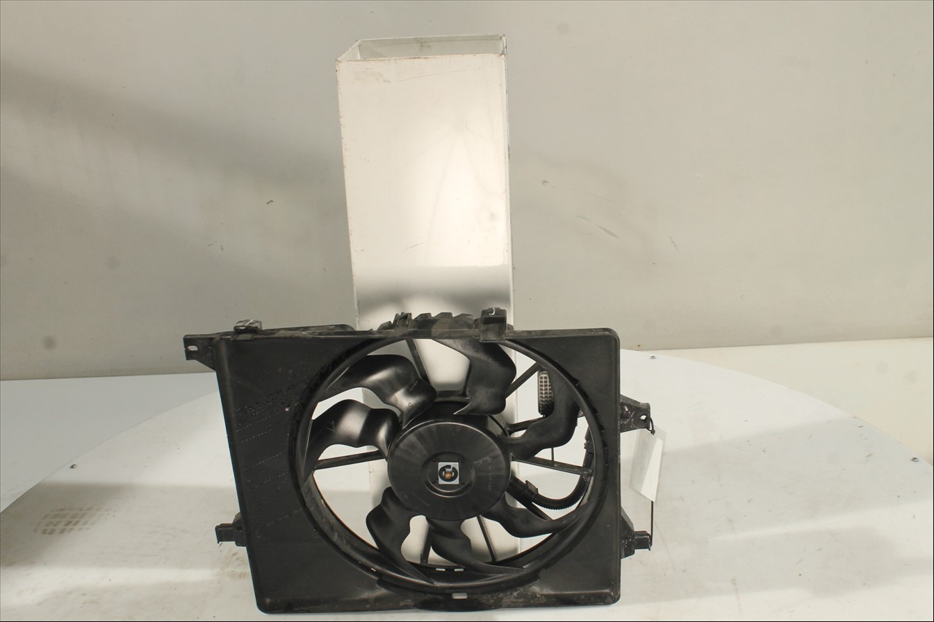 Conjunto electros y soporte