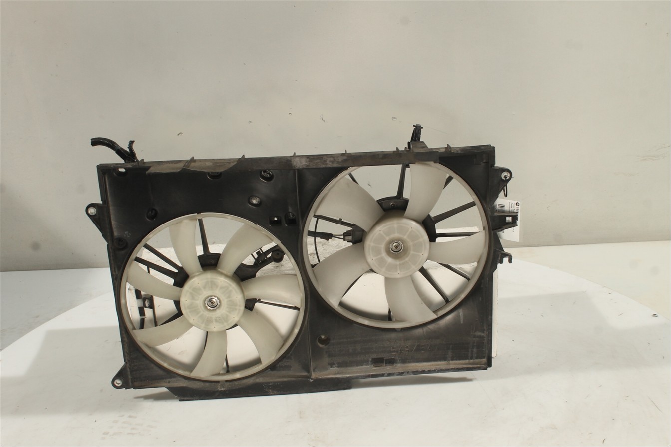 Conjunto electros y soporte