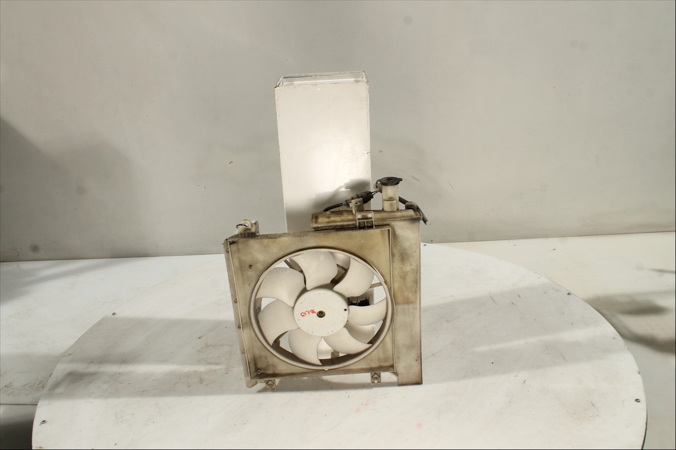 Conjunto electros y soporte