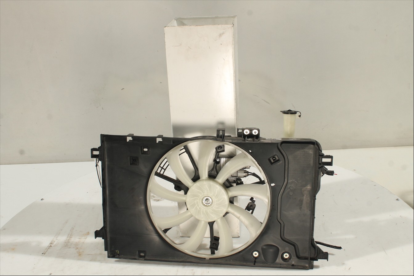 Conjunto electros y soporte