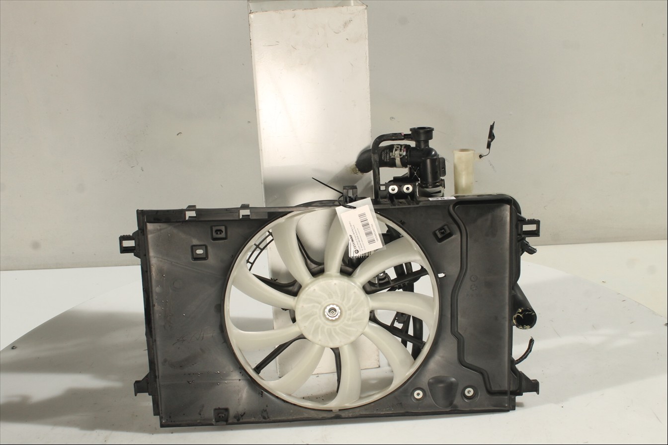 Conjunto electros y soporte