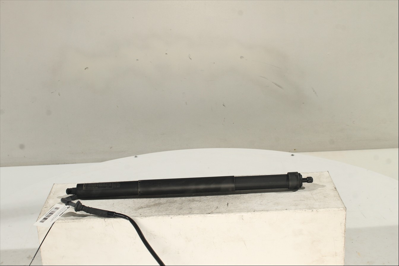 Amortiguador Izq. portón