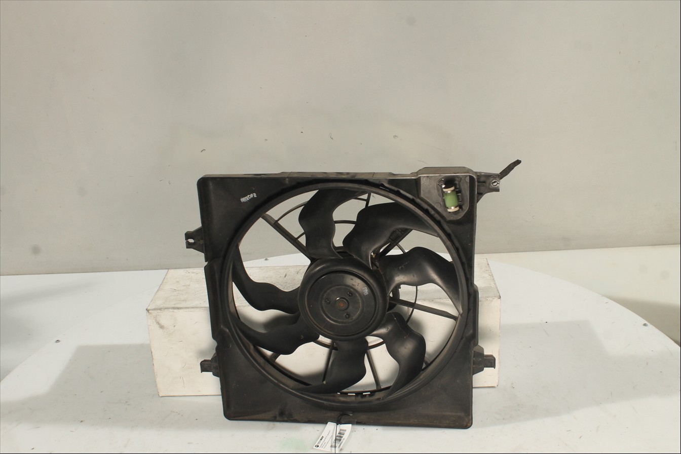 Conjunto electros y soporte