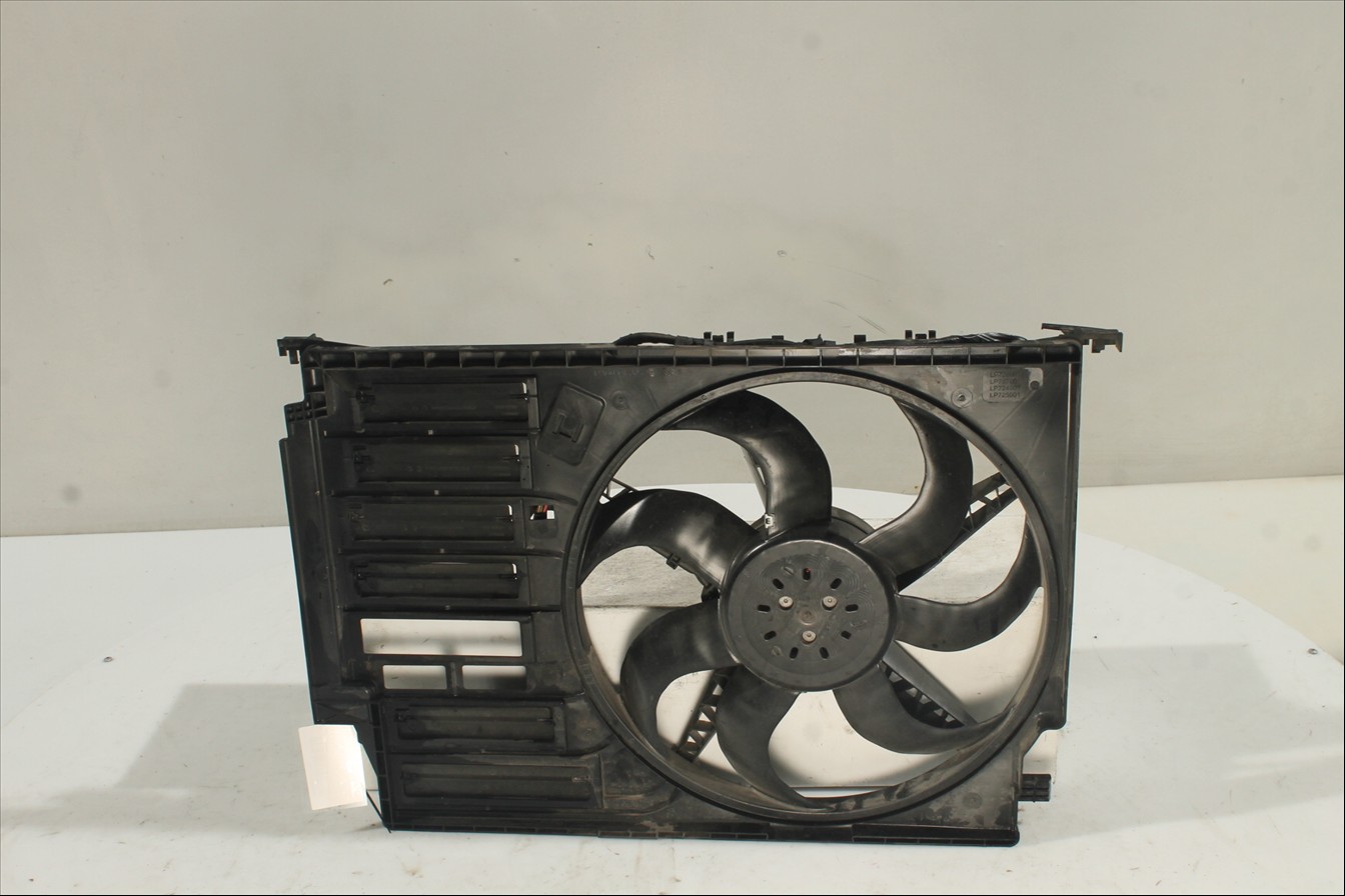 Conjunto electros y soporte