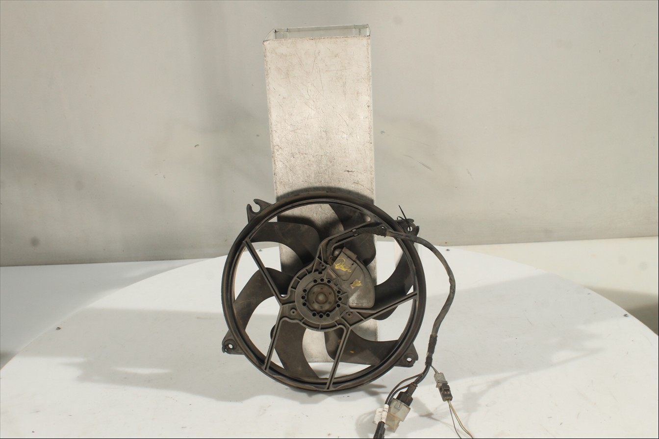 Conjunto electros y soporte