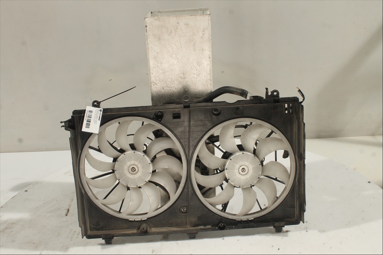 Conjunto electros y soporte